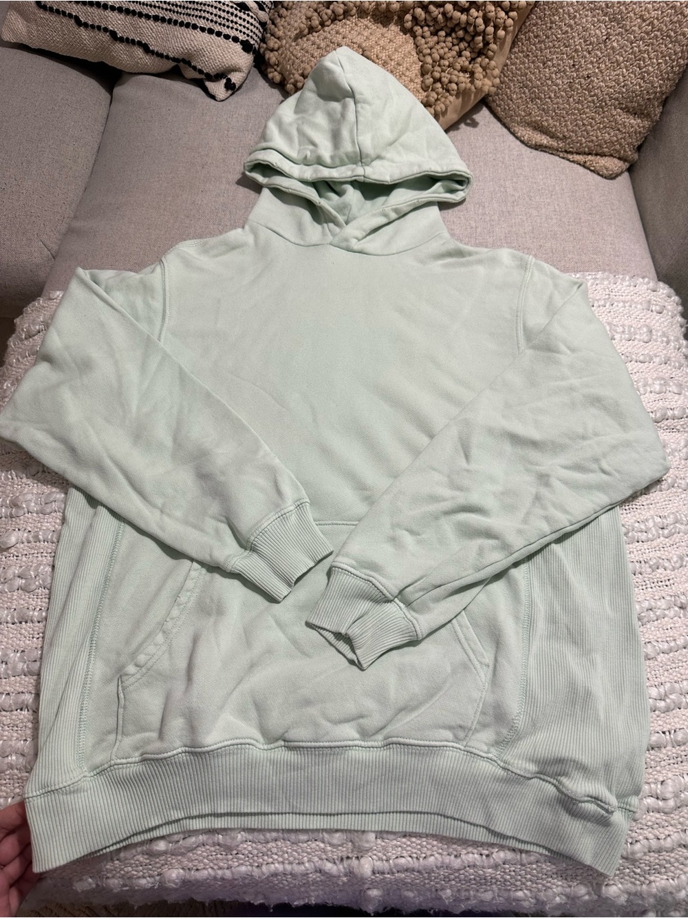 aerie oversized Light Mint Hooded Pullover